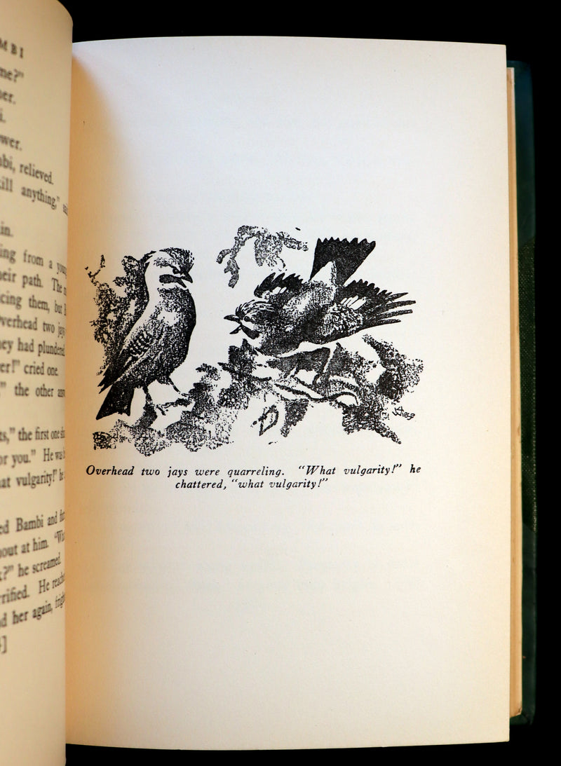1928 Rare Book - BAMBI a Life in the Woods by Felix Salten. Nicely bound First Edition.