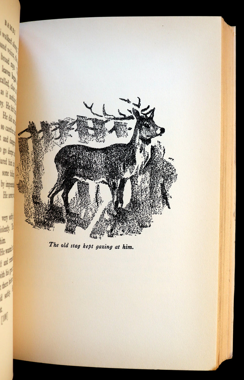 1928 Rare Book - BAMBI a Life in the Woods by Felix Salten. Nicely bound First Edition.