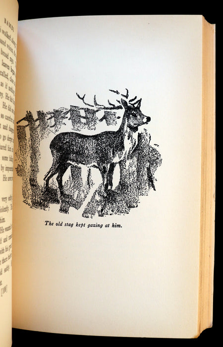 1928 Rare Book - BAMBI a Life in the Woods by Felix Salten. Nicely bound First Edition.