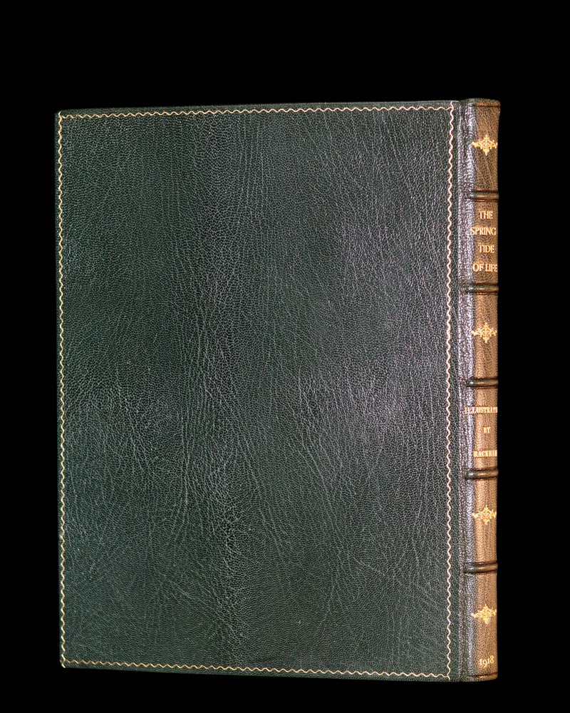 1918 Rare 1stED Book - The Springtide of Life, Poems of Childhood illustrated by Rackham.