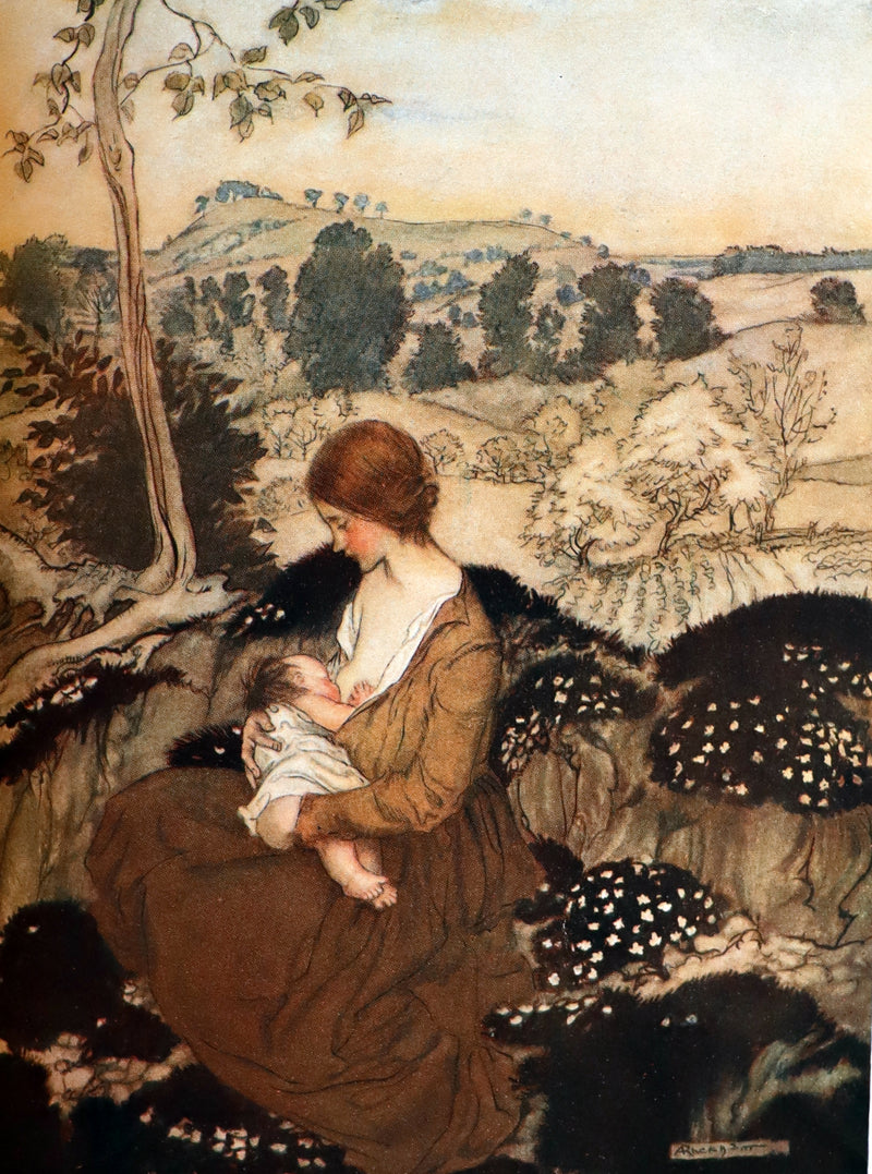 1918 Rare 1stED Book - The Springtide of Life, Poems of Childhood illustrated by Rackham.