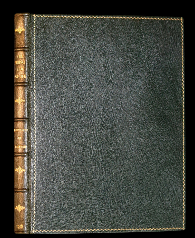 1918 Rare 1stED Book - The Springtide of Life, Poems of Childhood illustrated by Rackham.