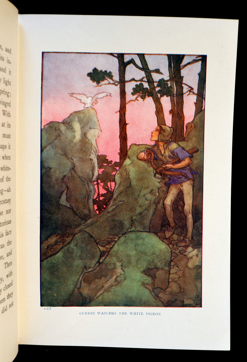 1912 Rare Book - The Princess and Curdie by George Macdonald illustrated by Helen Stratton.