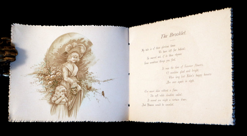 1885 Scarce Victorian Postgate Book ~The Brooklet and Other Tales of WONDER.