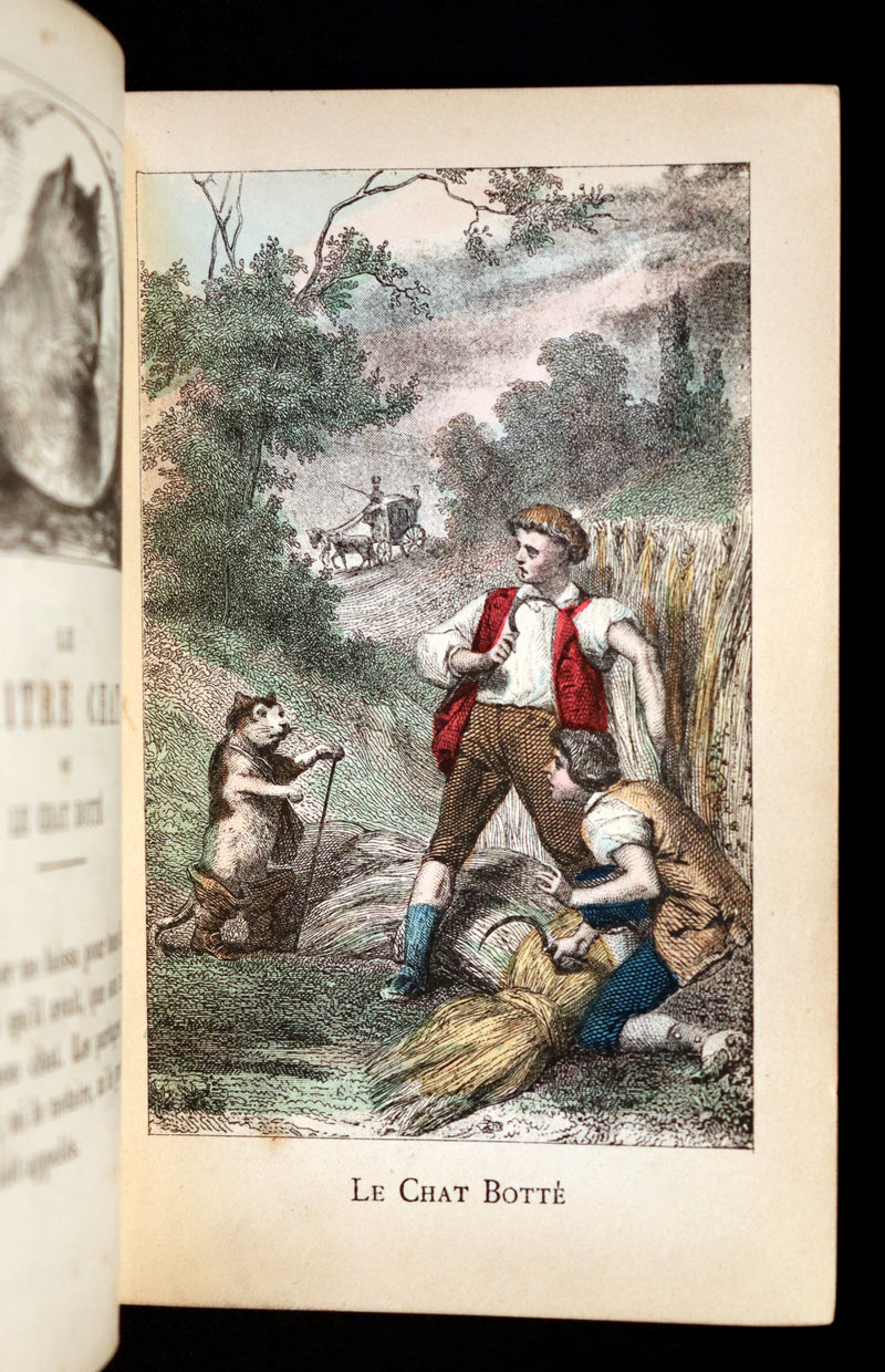 1890 Scarce color illustrated French Book ~ Contes des Fees by Perrault - Fairy Tales.