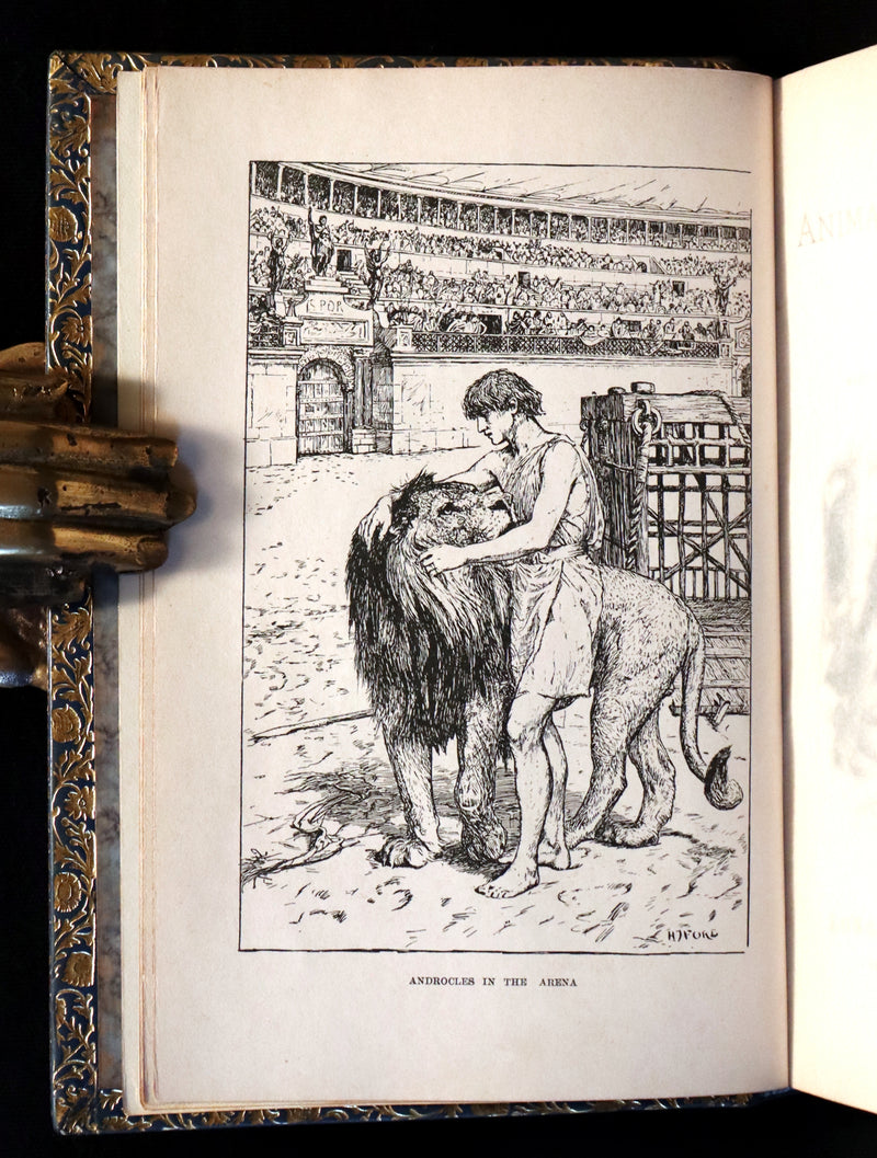 1896 First Edition bound by BAYNTUN- The Animal Story Book by Andrew Lang Illustrated by H. J. FORD.