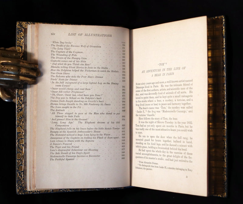 1896 First Edition bound by BAYNTUN- The Animal Story Book by Andrew Lang Illustrated by H. J. FORD.