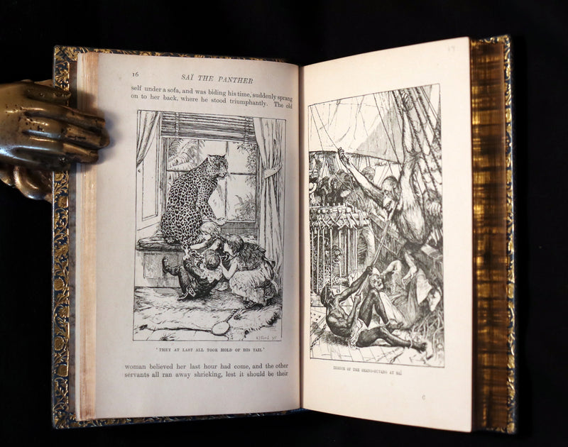 1896 First Edition bound by BAYNTUN- The Animal Story Book by Andrew Lang Illustrated by H. J. FORD.