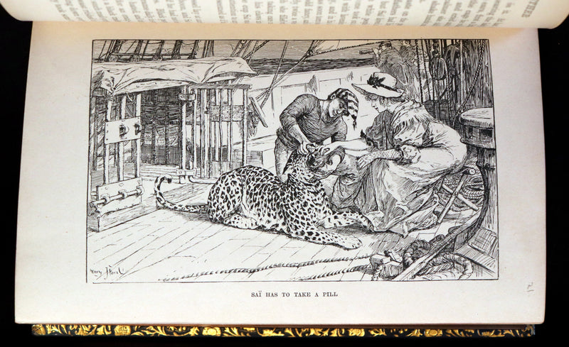 1896 First Edition bound by BAYNTUN- The Animal Story Book by Andrew Lang Illustrated by H. J. FORD.