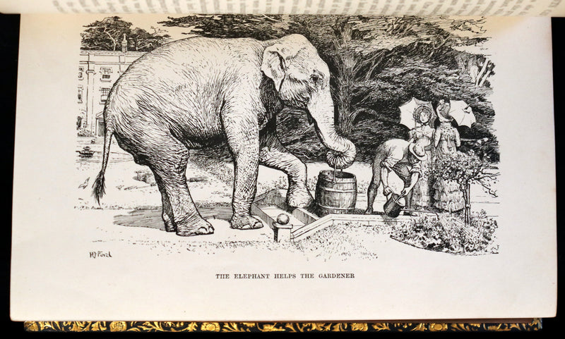 1896 First Edition bound by BAYNTUN- The Animal Story Book by Andrew Lang Illustrated by H. J. FORD.
