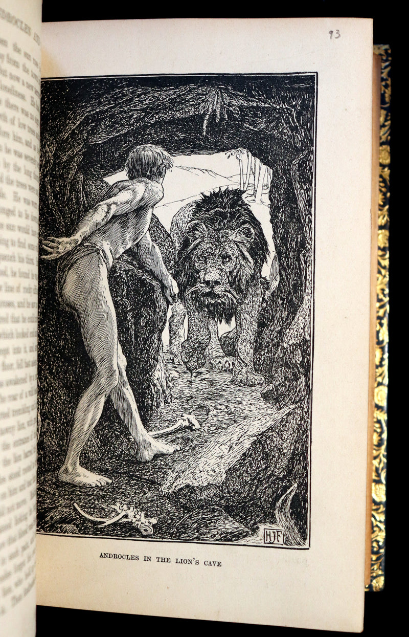 1896 First Edition bound by BAYNTUN- The Animal Story Book by Andrew Lang Illustrated by H. J. FORD.