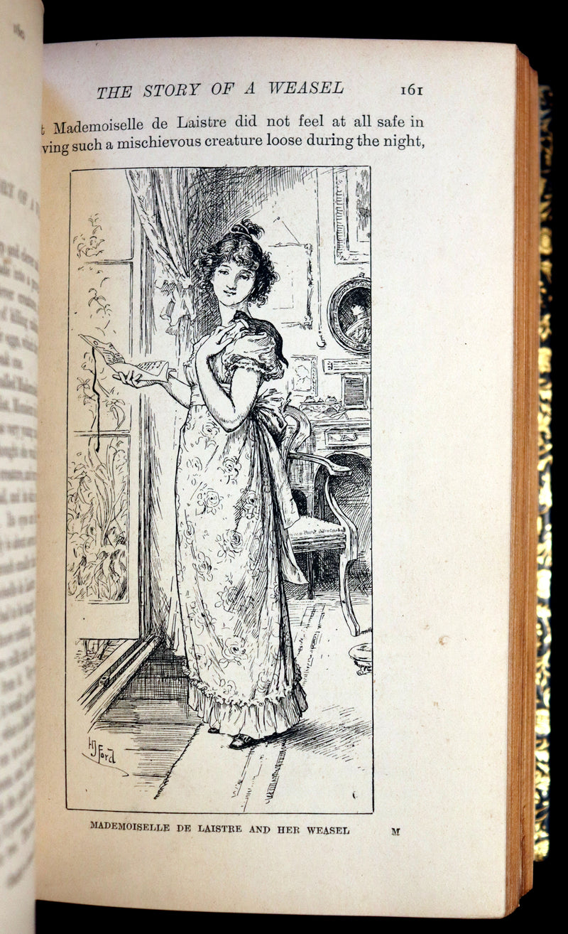 1896 First Edition bound by BAYNTUN- The Animal Story Book by Andrew Lang Illustrated by H. J. FORD.