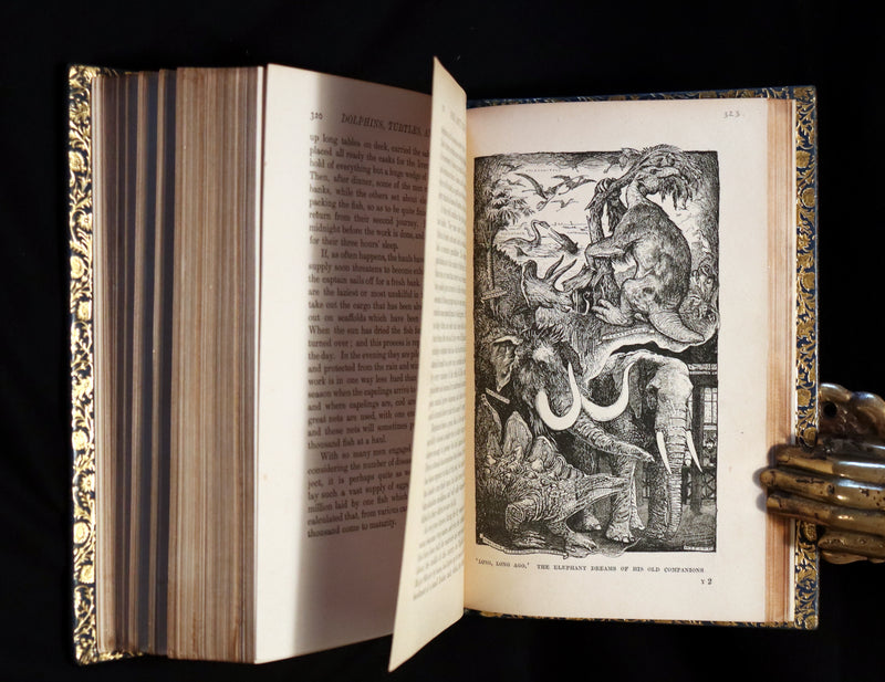 1896 First Edition bound by BAYNTUN- The Animal Story Book by Andrew Lang Illustrated by H. J. FORD.
