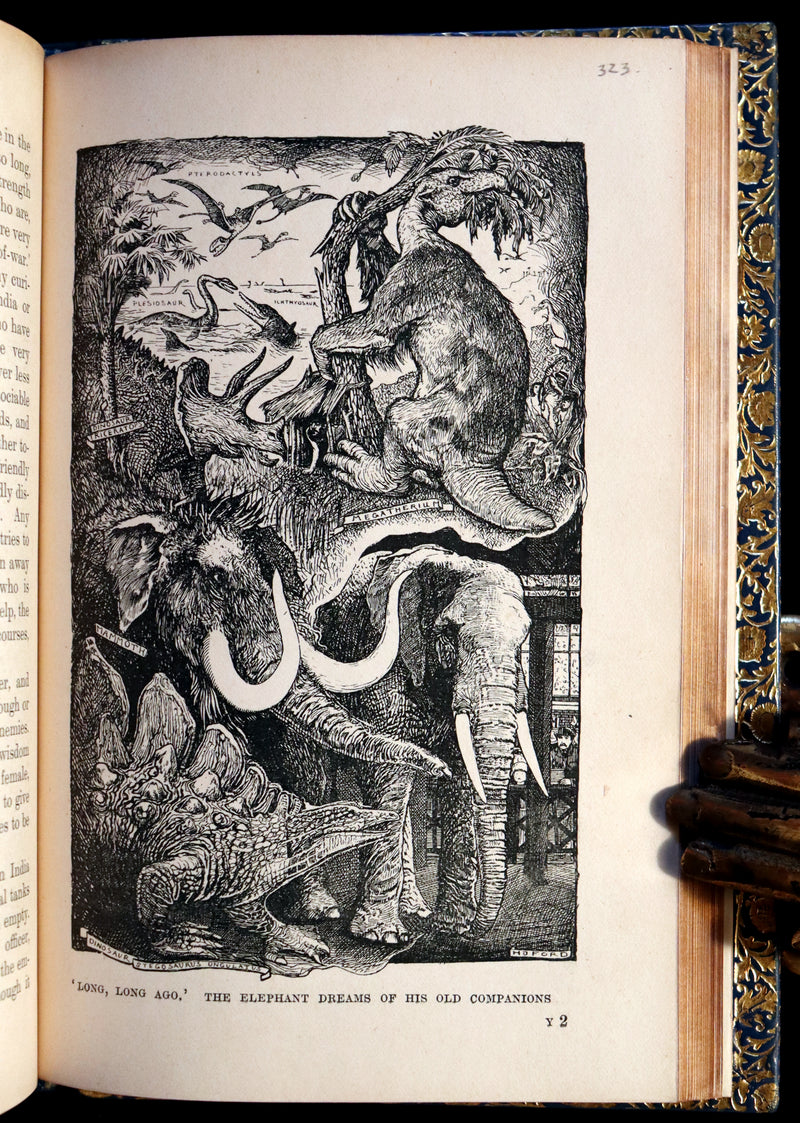 1896 First Edition bound by BAYNTUN- The Animal Story Book by Andrew Lang Illustrated by H. J. FORD.