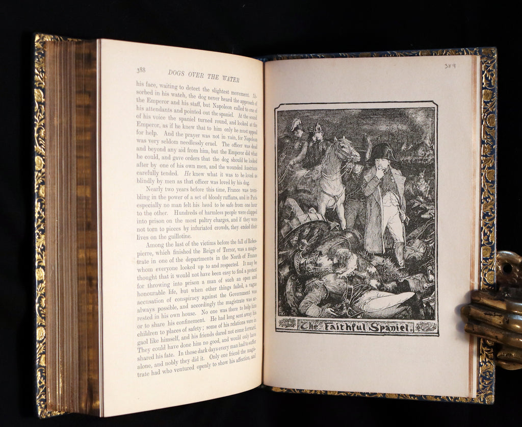 1896 First Edition bound by BAYNTUN- The Animal Story Book by Andrew L ...