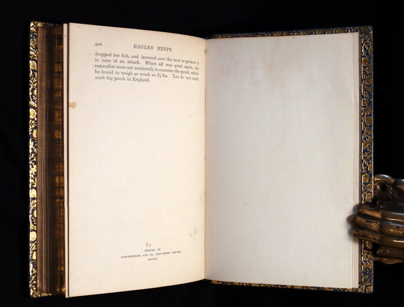 1896 First Edition bound by BAYNTUN- The Animal Story Book by Andrew Lang Illustrated by H. J. FORD.