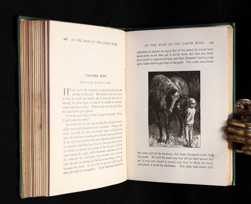 1872 Scarce Edition - AT THE BACK OF THE NORTH WIND by George MacDonald.