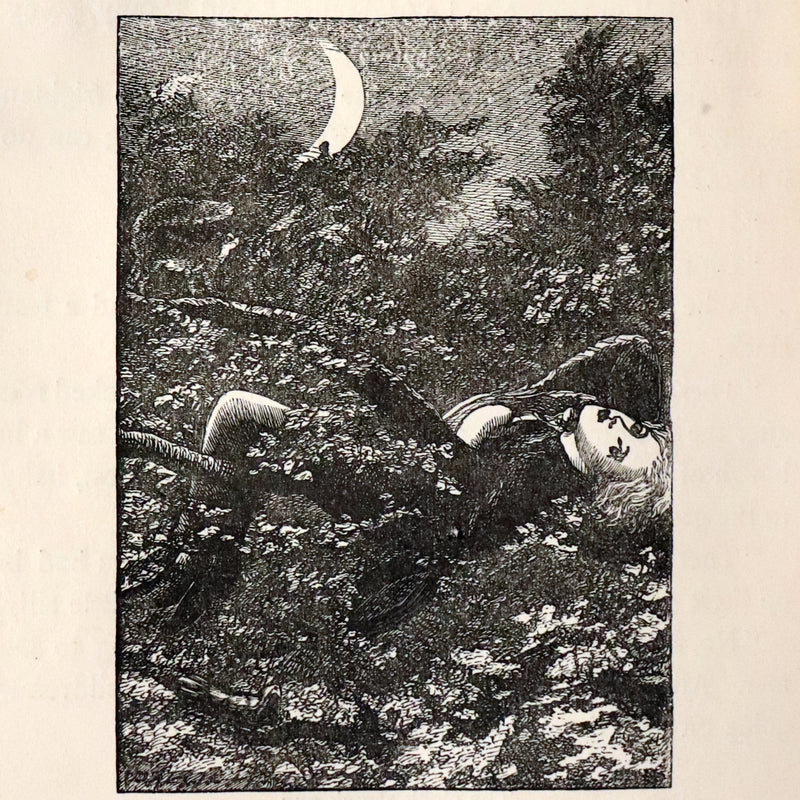 1872 Scarce Edition - AT THE BACK OF THE NORTH WIND by George MacDonald.