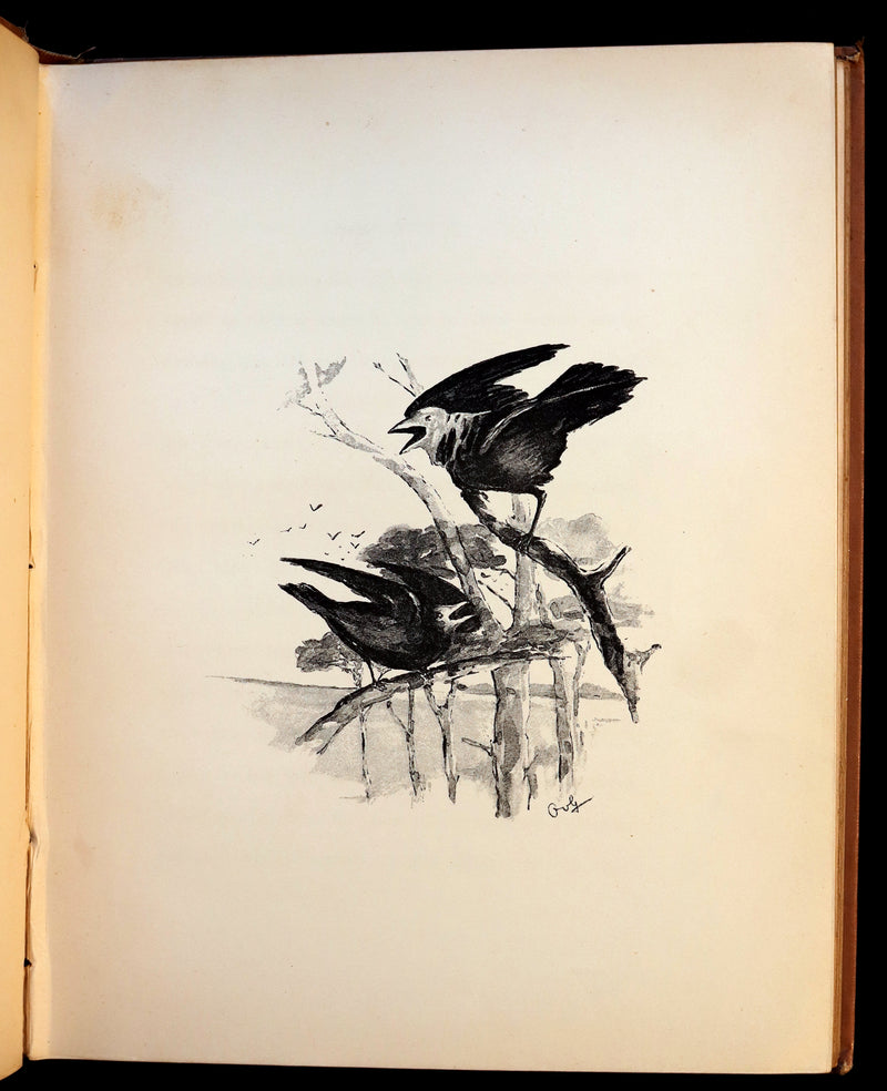 1892 Scarce Victorian Book - FAIRY TALES from the Far East (Adapted from the Birth Stories of Buddha).