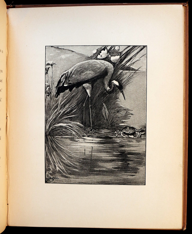 1892 Scarce Victorian Book - FAIRY TALES from the Far East (Adapted from the Birth Stories of Buddha).