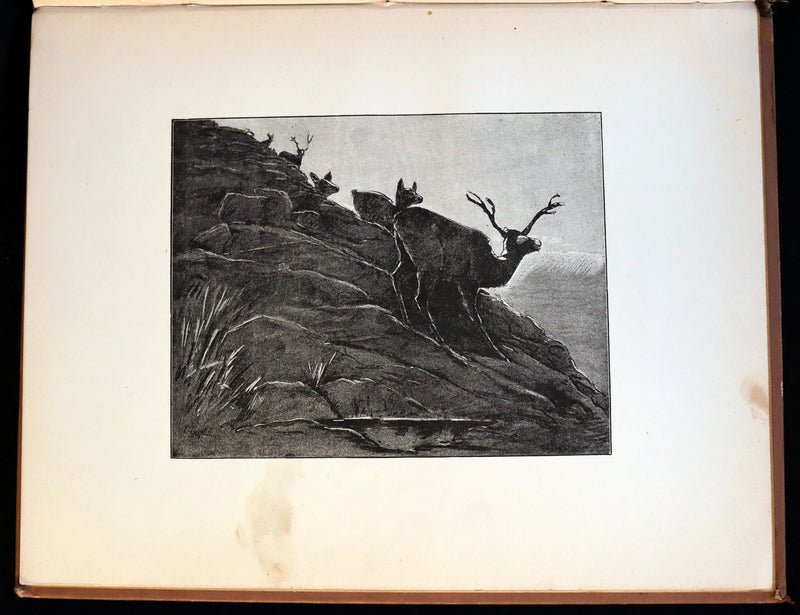 1892 Scarce Victorian Book - FAIRY TALES from the Far East (Adapted from the Birth Stories of Buddha).