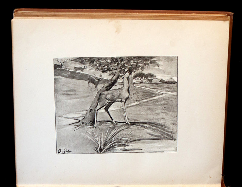 1892 Scarce Victorian Book - FAIRY TALES from the Far East (Adapted from the Birth Stories of Buddha).