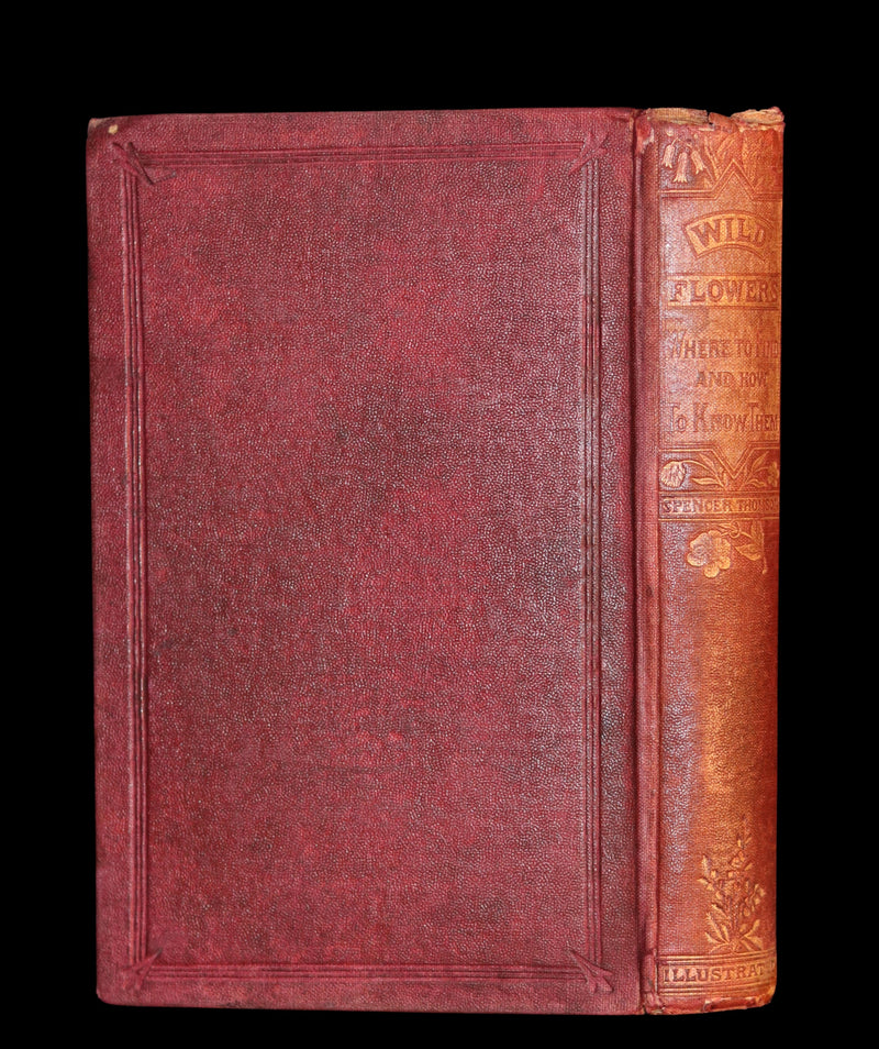 1866 Rare Edition - Wild Flowers and Medicinal Uses color Illustrated by Noel Humphreys.