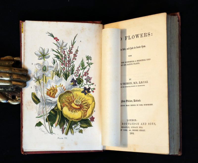1866 Rare Edition - Wild Flowers and Medicinal Uses color Illustrated by Noel Humphreys.