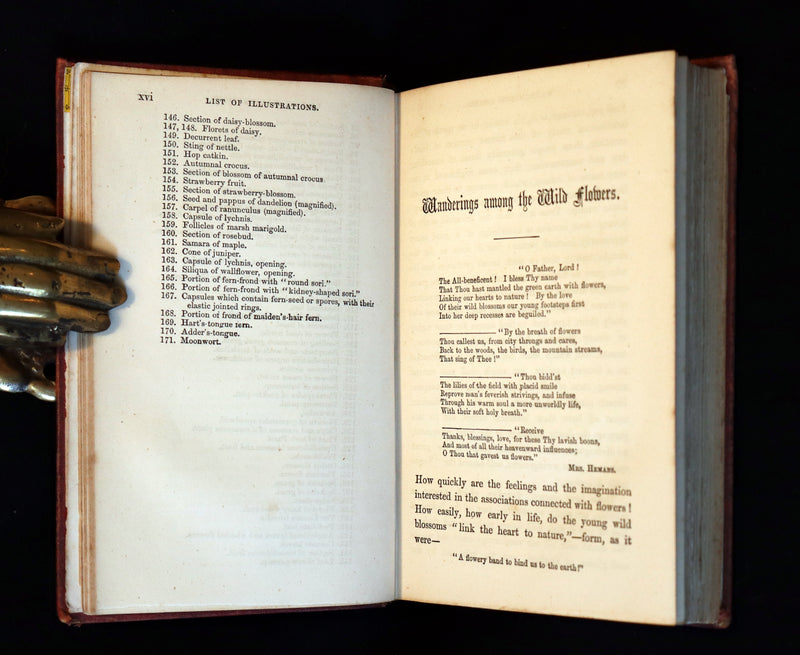 1866 Rare Edition - Wild Flowers and Medicinal Uses color Illustrated by Noel Humphreys.