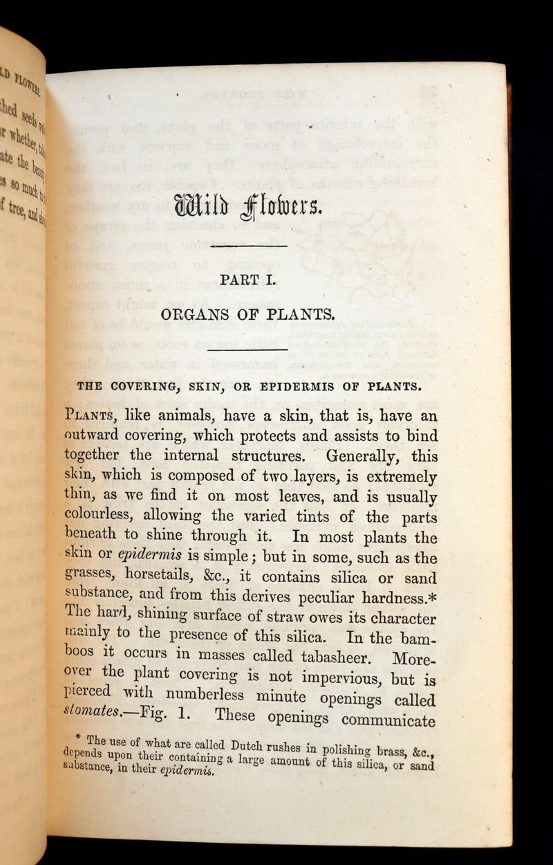 1866 Rare Edition - Wild Flowers and Medicinal Uses color Illustrated by Noel Humphreys.