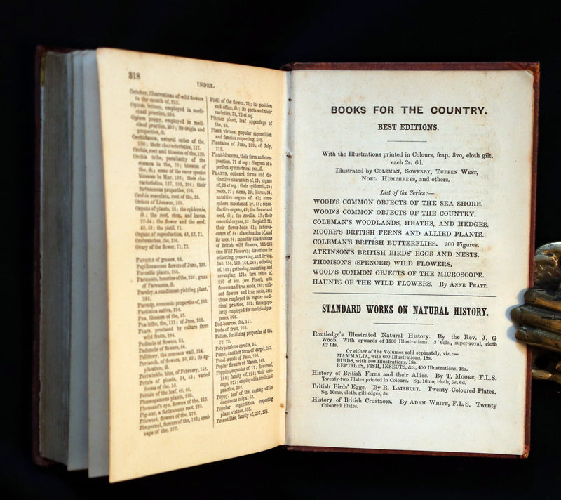 1866 Rare Edition - Wild Flowers and Medicinal Uses color Illustrated by Noel Humphreys.