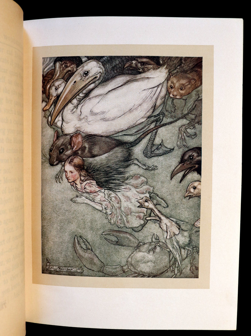 1907 First US Edition - Alice's Adventures in Wonderland illustrated by Arthur Rackham.