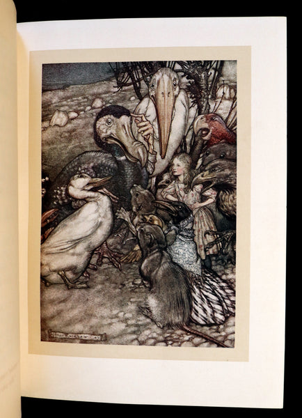 1907 First US Edition - Alice's Adventures in Wonderland illustrated by Arthur Rackham.