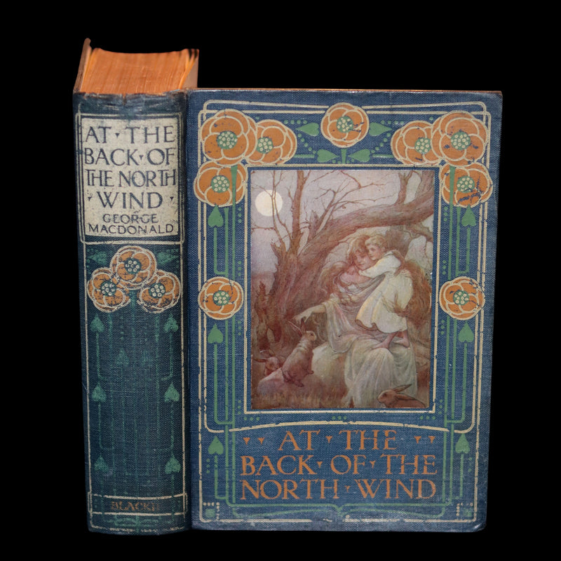 1911 Rare Edition - AT THE BACK OF THE NORTH WIND Illustrated by Frank C. Pape.