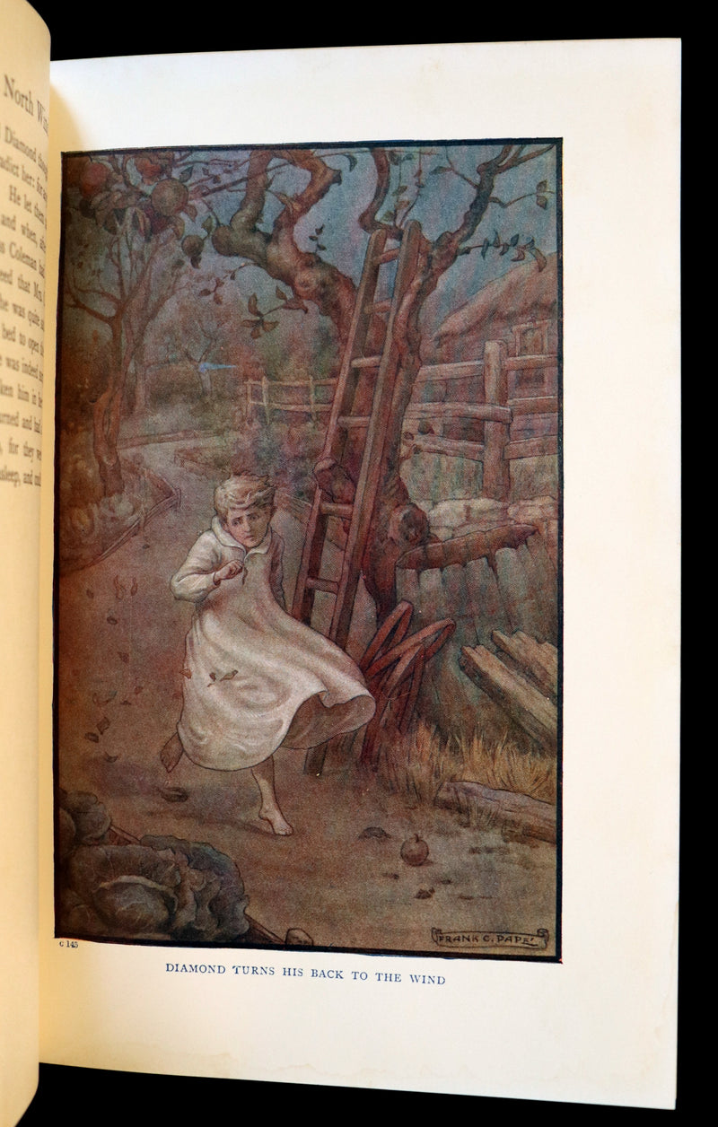 1911 Rare Edition - AT THE BACK OF THE NORTH WIND Illustrated by Frank C. Pape.