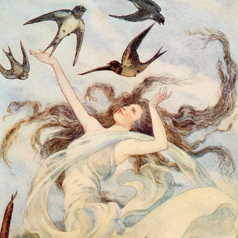 1911 Rare Edition - AT THE BACK OF THE NORTH WIND Illustrated by Frank C. Pape.