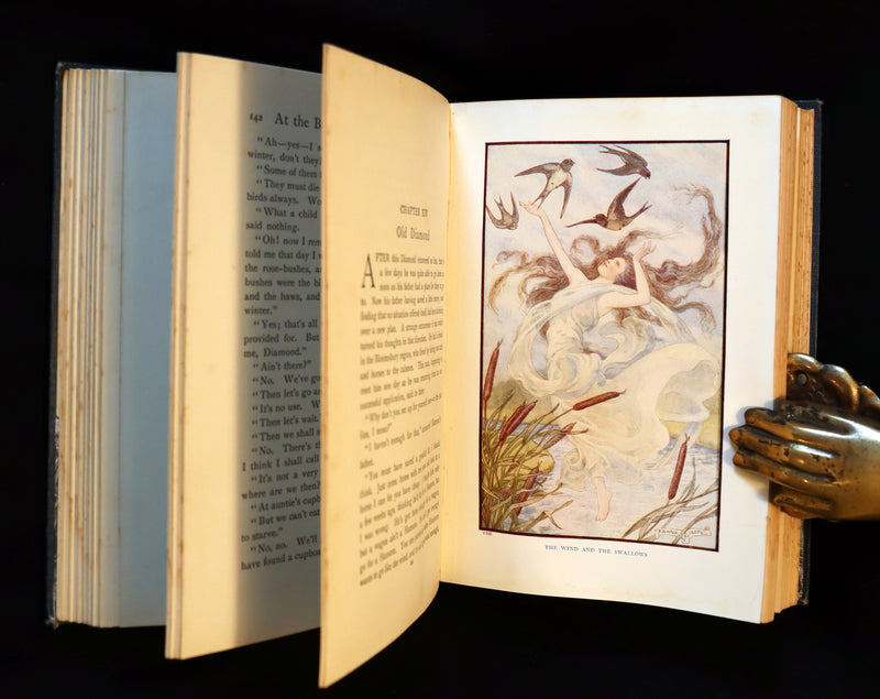 1911 Rare Edition - AT THE BACK OF THE NORTH WIND Illustrated by Frank C. Pape.