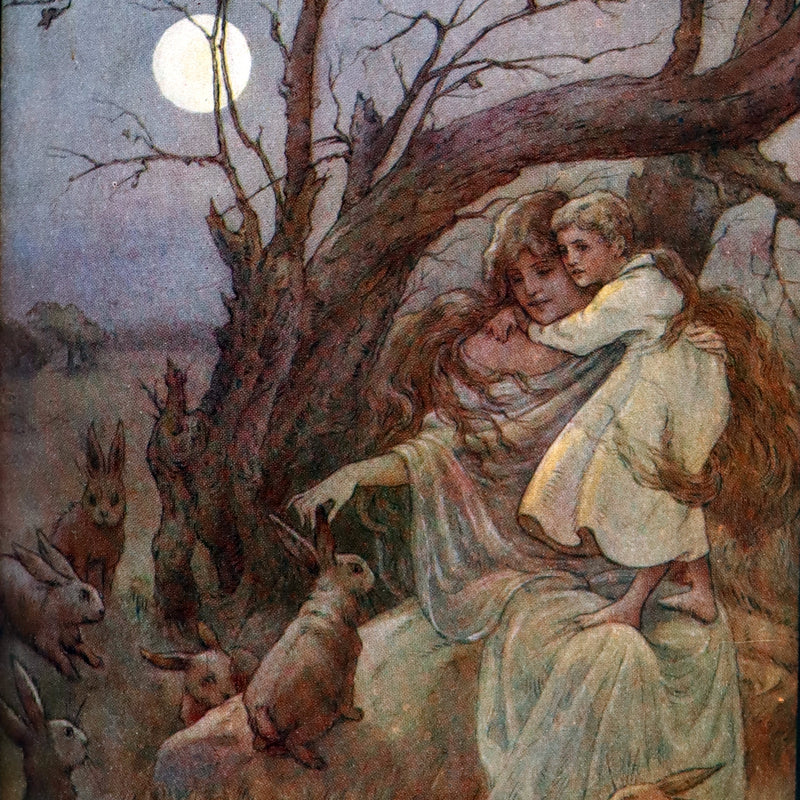 1911 Rare Edition - AT THE BACK OF THE NORTH WIND Illustrated by Frank C. Pape.