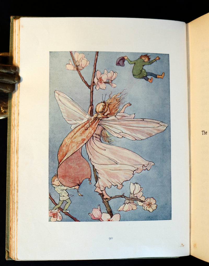 1922 Scarce Book - FAIRY TALES with 48 Coloured Plates By Margaret W. Tarrant.
