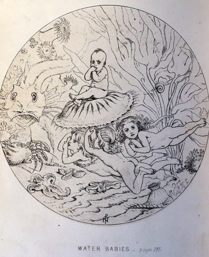 1863 First Edition Bayntun-Riviere Binding - Water-Babies Fairy Tale for a Land-Baby Illustrated by J. Noel Paton.
