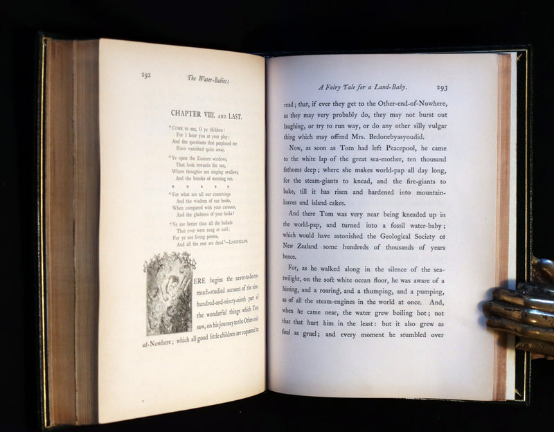 1863 First Edition Bayntun-Riviere Binding - Water-Babies Fairy Tale for a Land-Baby Illustrated by J. Noel Paton.