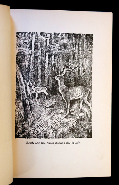 1928 First Edition - BAMBI a Life in the Woods by Felix Salten in a Nice Binding.