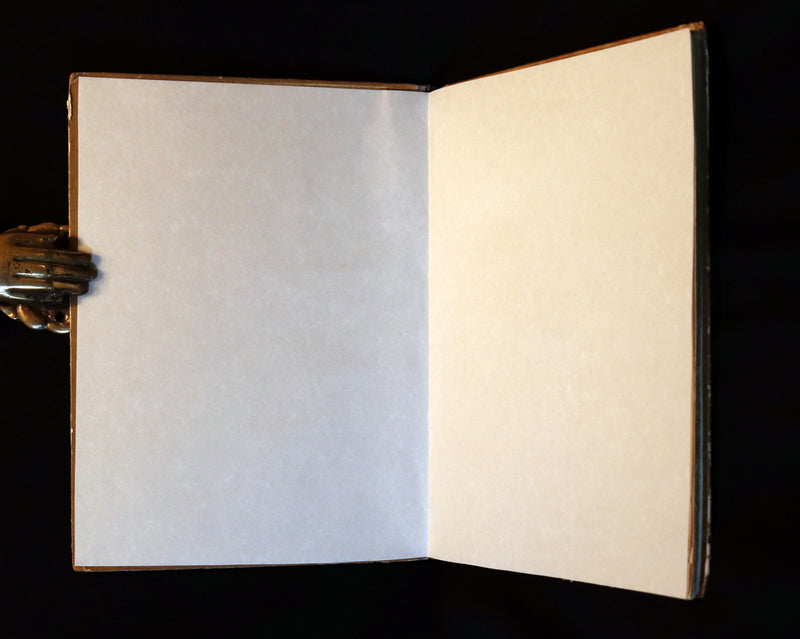 1882 Scarce Victorian FAIRY Book ~ LOUISE CLARKSON FLY-AWAY FAIRIES AND BABY-BLOSSOMS. 1stED.