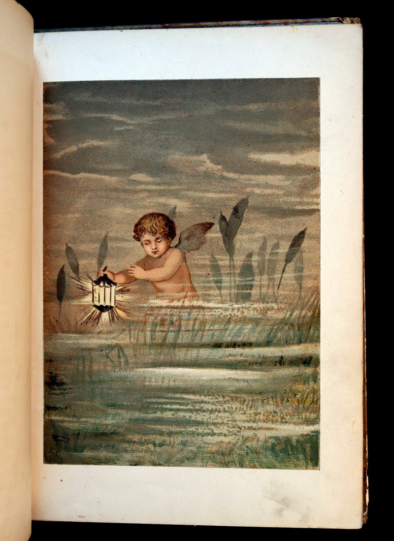 1882 Scarce Victorian FAIRY Book ~ LOUISE CLARKSON FLY-AWAY FAIRIES AND BABY-BLOSSOMS. 1stED.