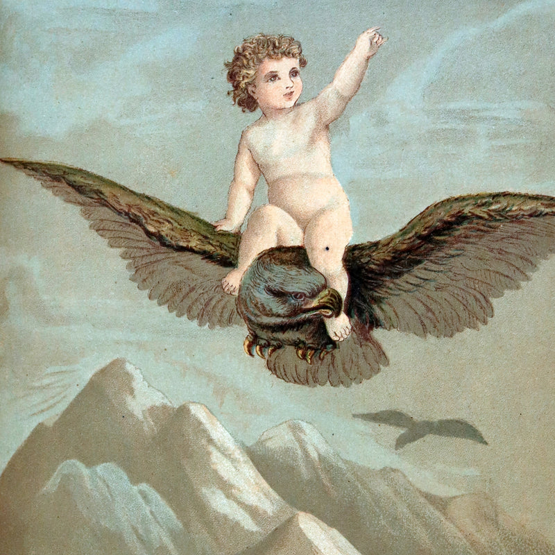 1882 Scarce Victorian FAIRY Book ~ LOUISE CLARKSON FLY-AWAY FAIRIES AND BABY-BLOSSOMS. 1stED.