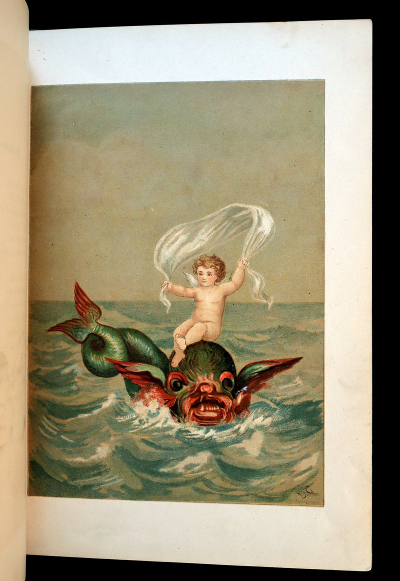 1882 Scarce Victorian FAIRY Book ~ LOUISE CLARKSON FLY-AWAY FAIRIES AND BABY-BLOSSOMS. 1stED.