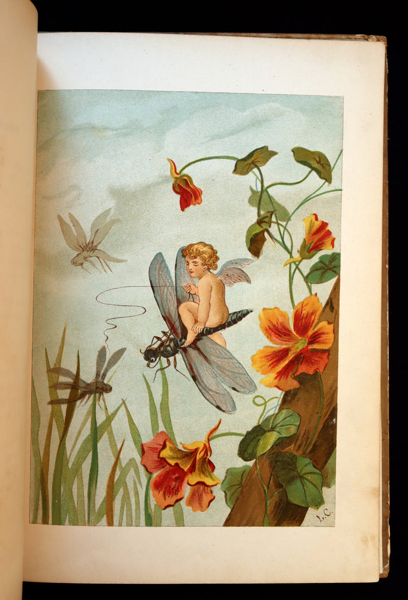 1882 Scarce Victorian FAIRY Book ~ LOUISE CLARKSON FLY-AWAY FAIRIES AND BABY-BLOSSOMS. 1stED.