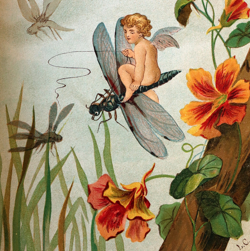 1882 Scarce Victorian FAIRY Book ~ LOUISE CLARKSON FLY-AWAY FAIRIES AND BABY-BLOSSOMS. 1stED.