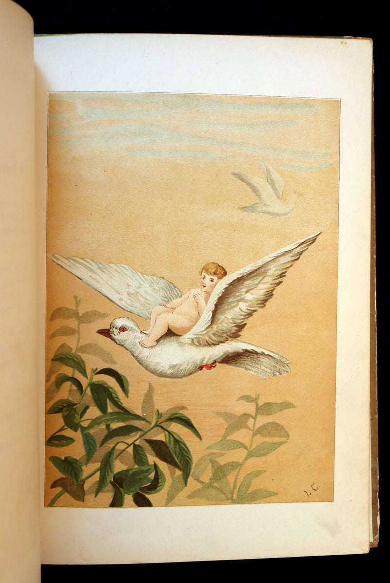 1882 Scarce Victorian FAIRY Book ~ LOUISE CLARKSON FLY-AWAY FAIRIES AND BABY-BLOSSOMS. 1stED.
