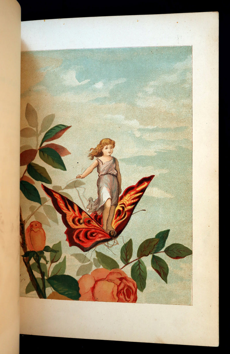 1882 Scarce Victorian FAIRY Book ~ LOUISE CLARKSON FLY-AWAY FAIRIES AND BABY-BLOSSOMS. 1stED.